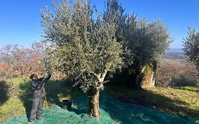 Art-Marvão, Alojamento Rural
